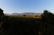 03 - Bontebok NP (13)